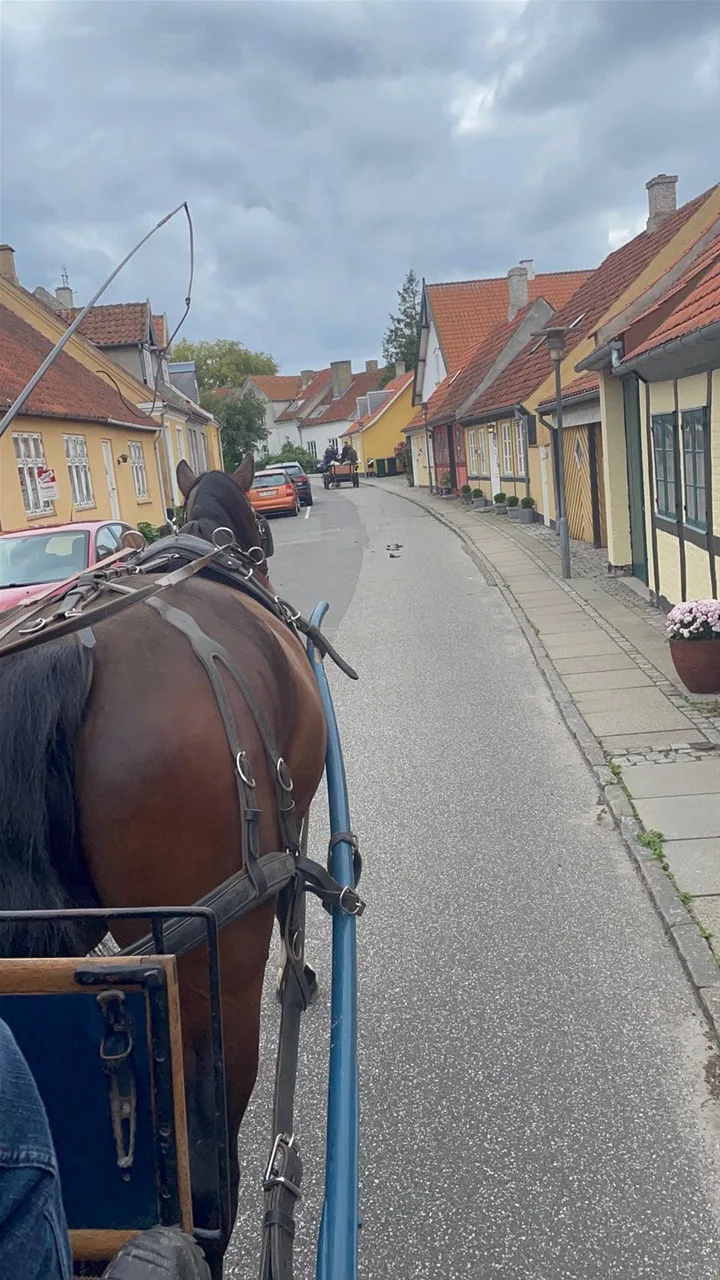 Løvfaldstur
